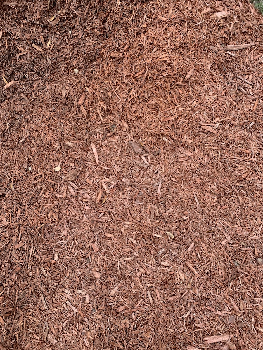 Fresh red bulk mulch