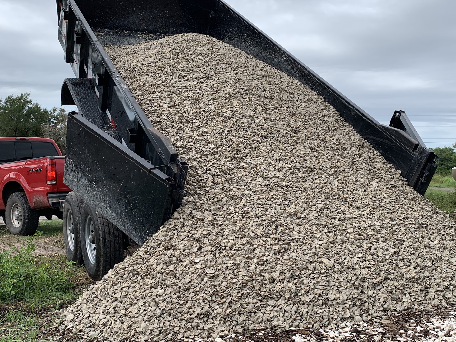 Dump truck unloading crushed shell