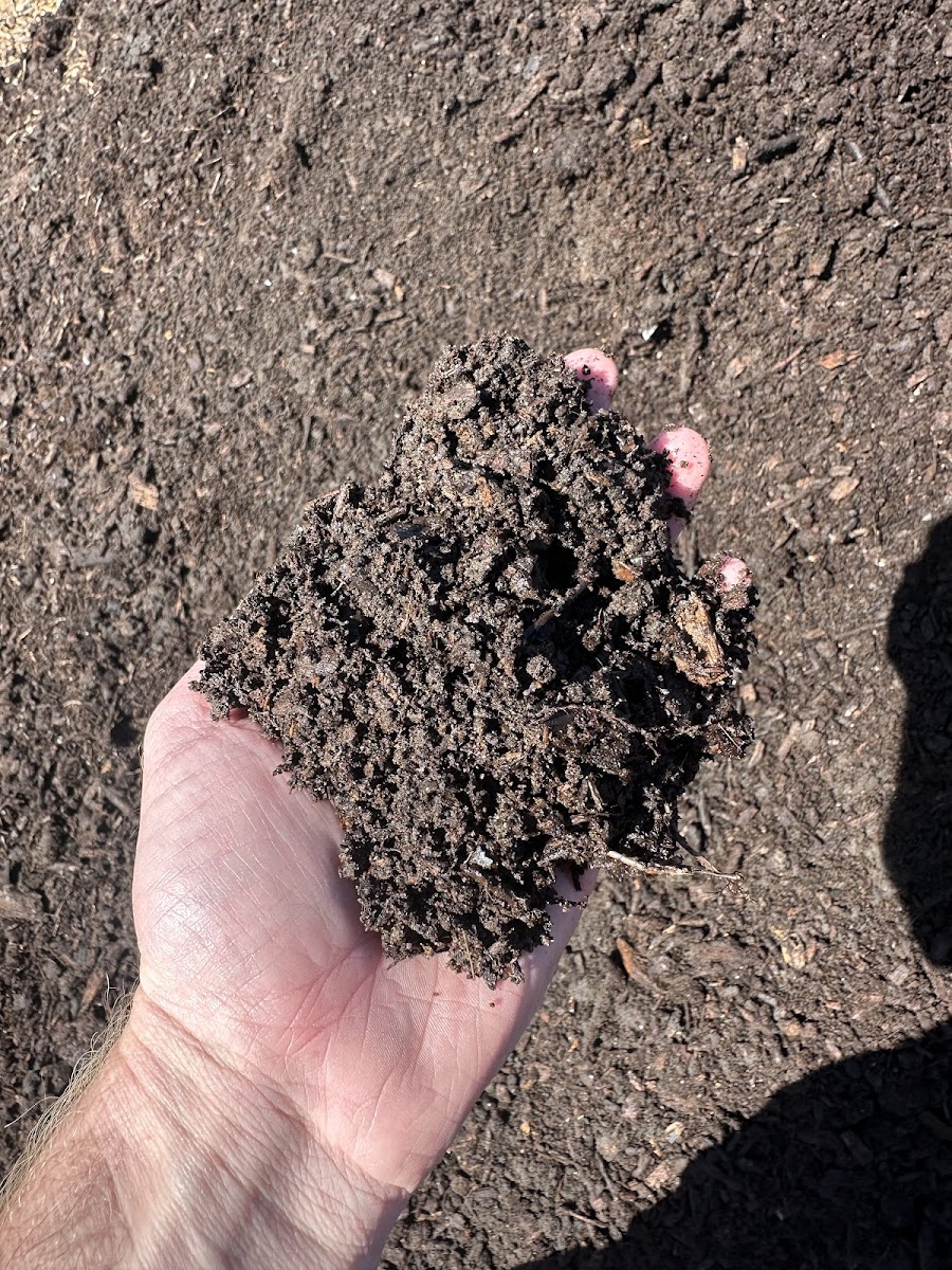Rich dark topsoil